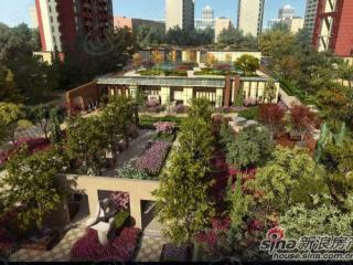 佳兆业中心·市府路1号